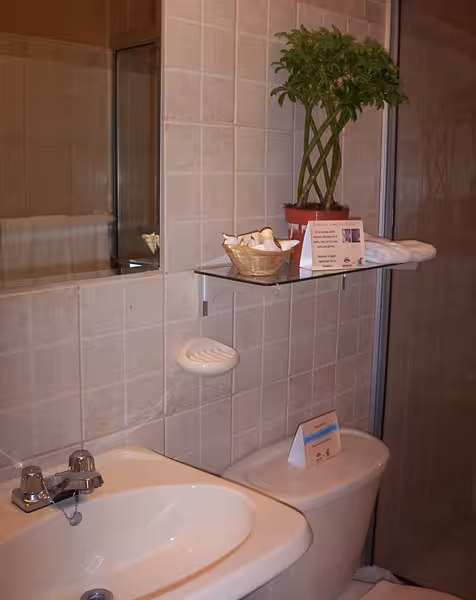 image url