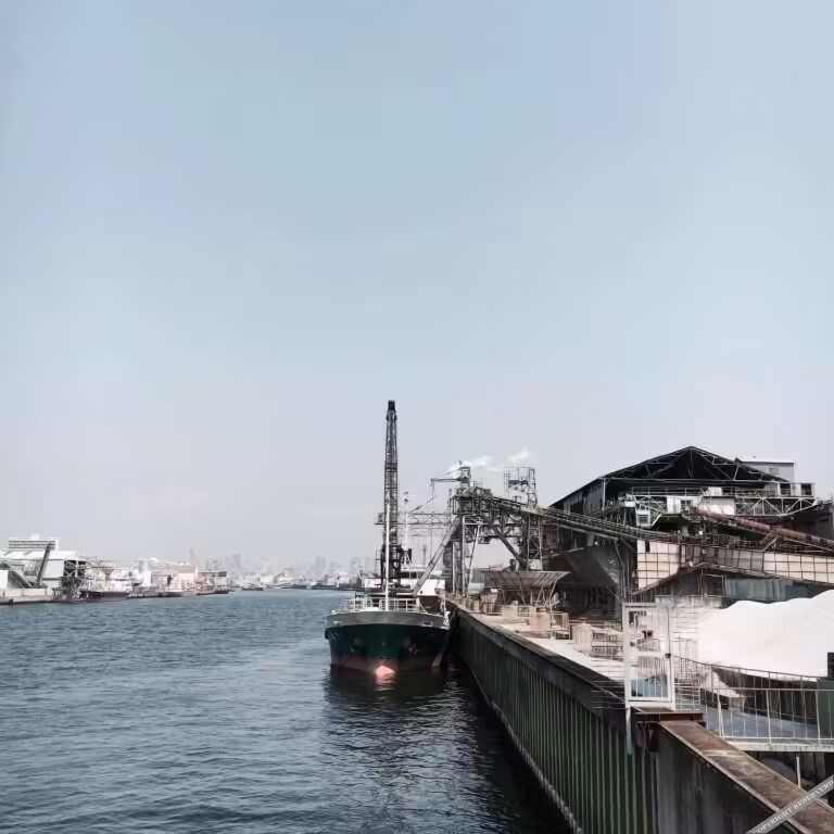 image url