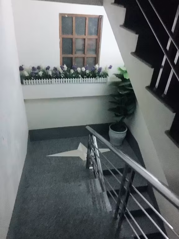 image url