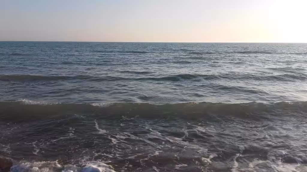 image url