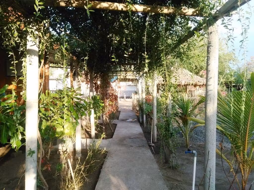 image url