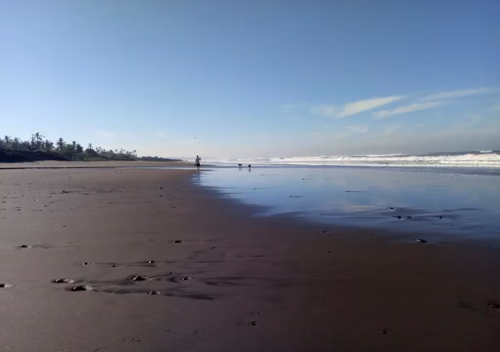 image url