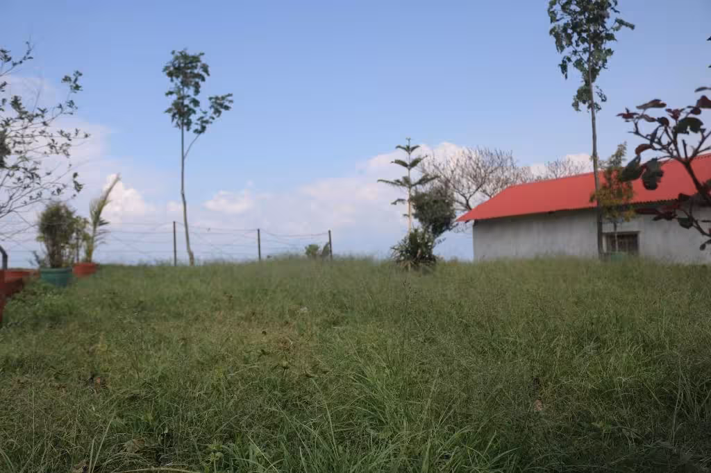 image url