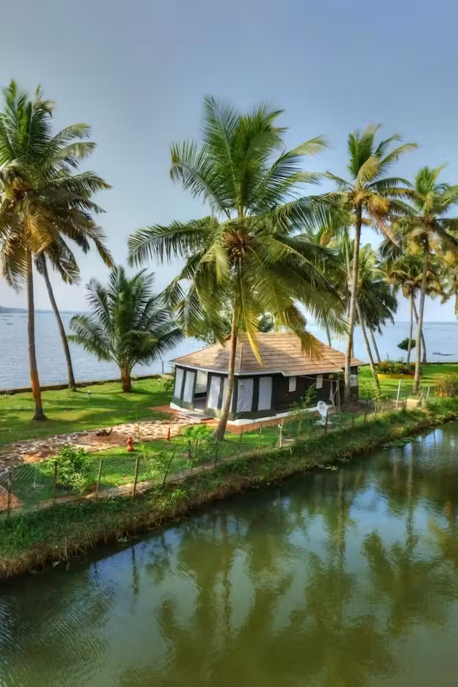 image url